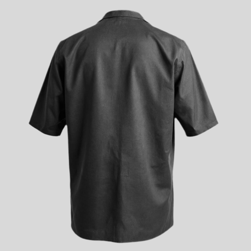Shirt 2 Aries SS Poplin