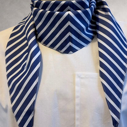 Arrombo Scarf — Blue Stripe - PINTO HERVIA