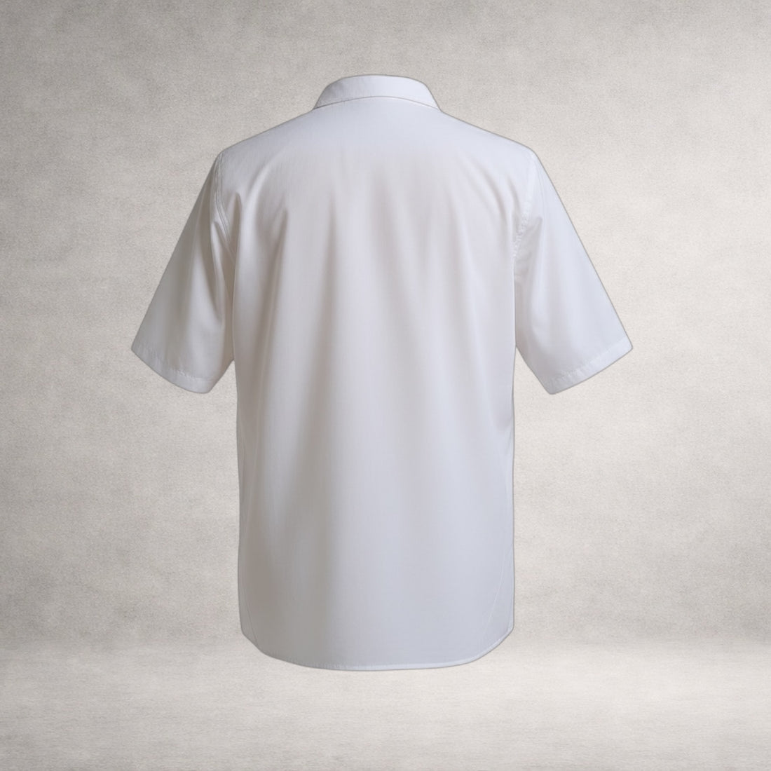 White Aries 2 short sleeve shirt in cotton poplin, back view, made in England
