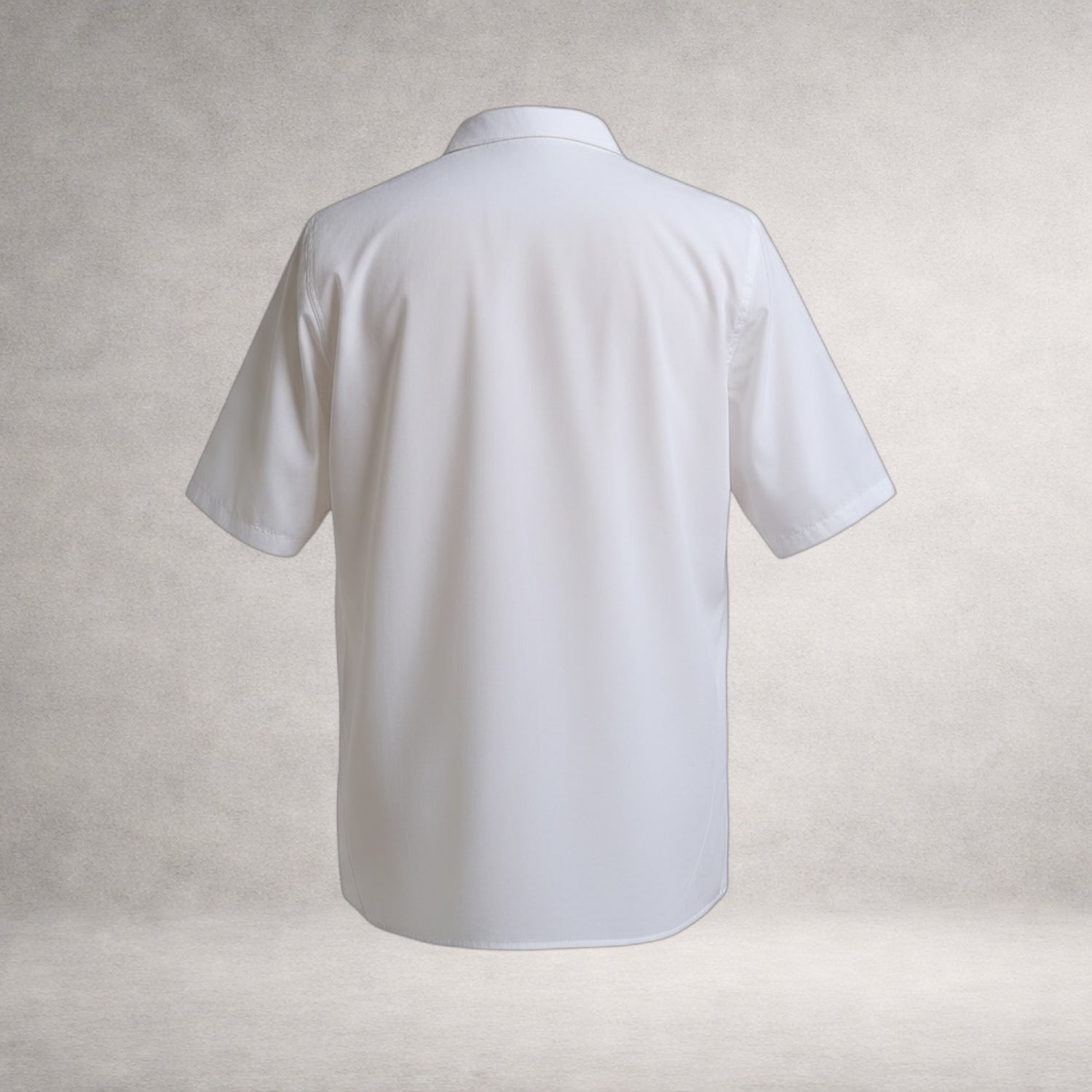 White Aries 2 short sleeve shirt in cotton poplin, back view, made in England
